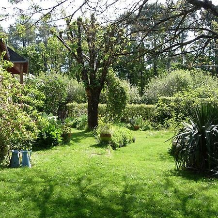 Le Jardin Aux Oiseaux Panzió Férel Kültér fotó