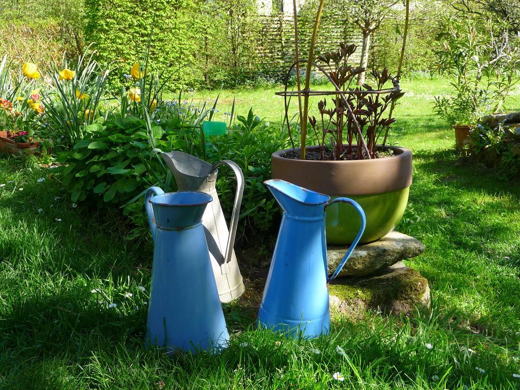 Le Jardin Aux Oiseaux Panzió Férel Szoba fotó