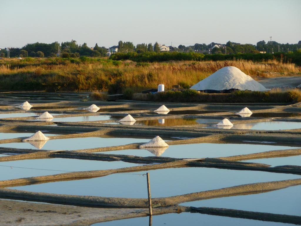 Le Jardin Aux Oiseaux Panzió Férel Kültér fotó