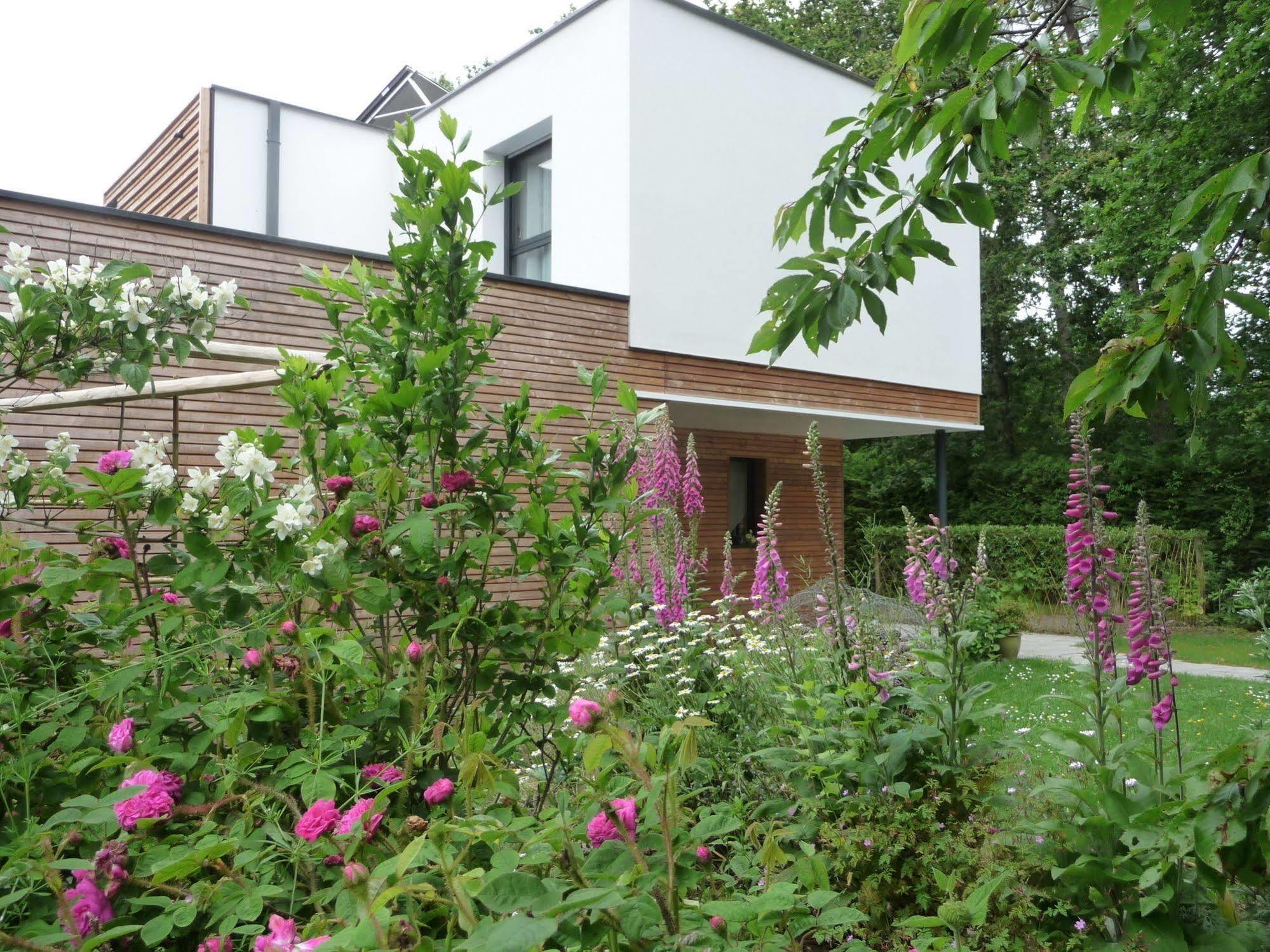 Le Jardin Aux Oiseaux Panzió Férel Kültér fotó