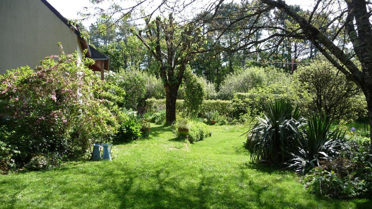 Le Jardin Aux Oiseaux Panzió Férel Kültér fotó